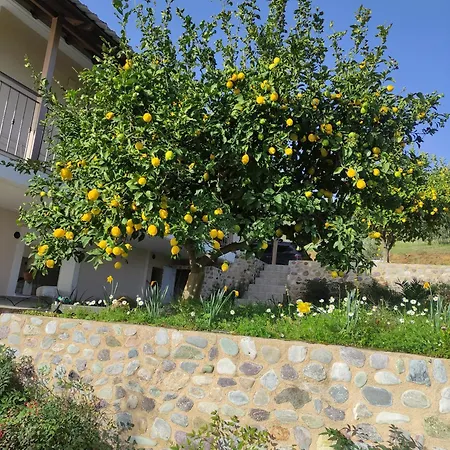 بيت للعطل The House Of The Rising Sun *